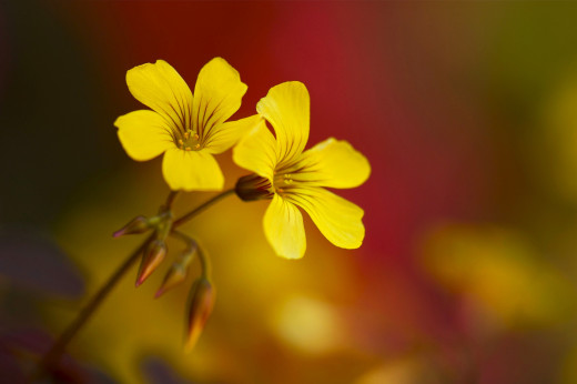 941911 (a): :2048x1360